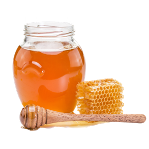 Honey PNG-86359